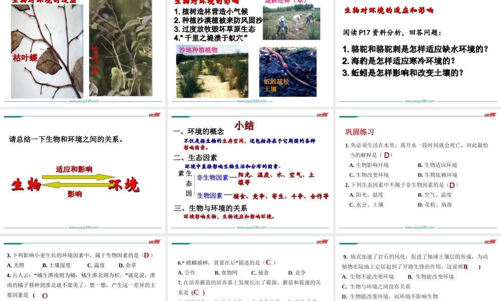 1.第一节生物与环境的关系.ppt