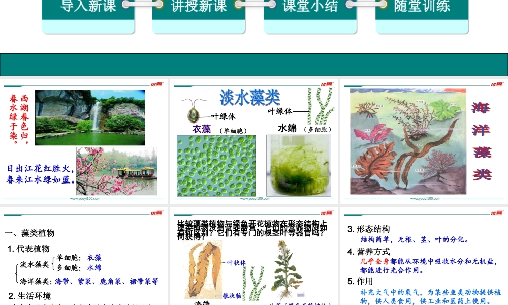 1.第一节藻类、苔藓和蕨类植物.ppt