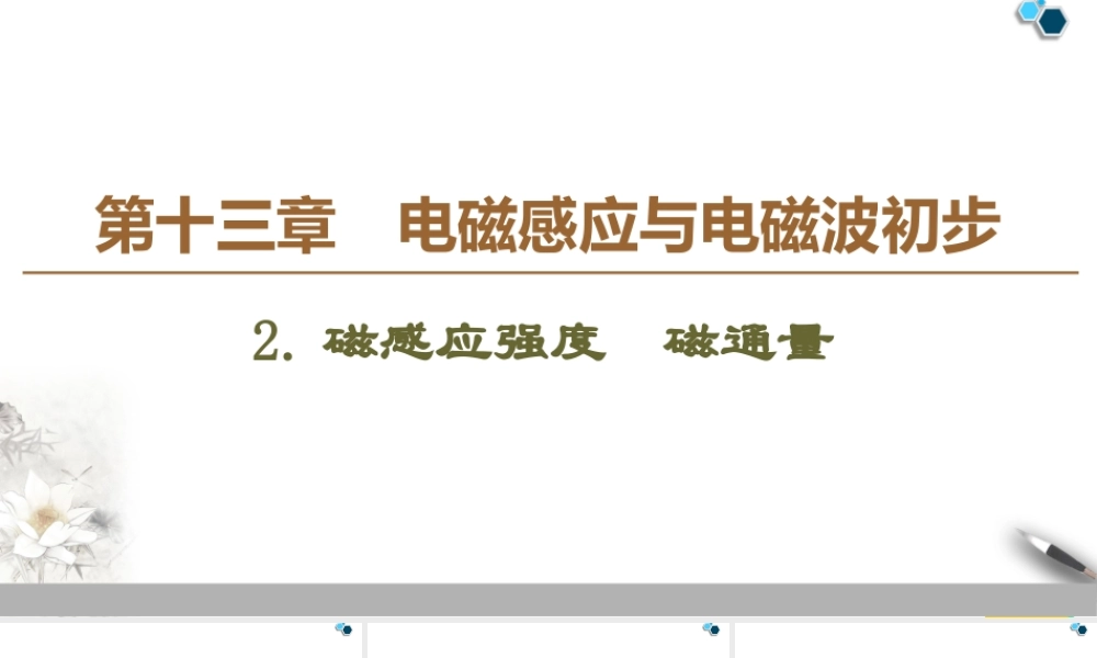 19-20 第13章 2.磁感应强度　磁通量.ppt