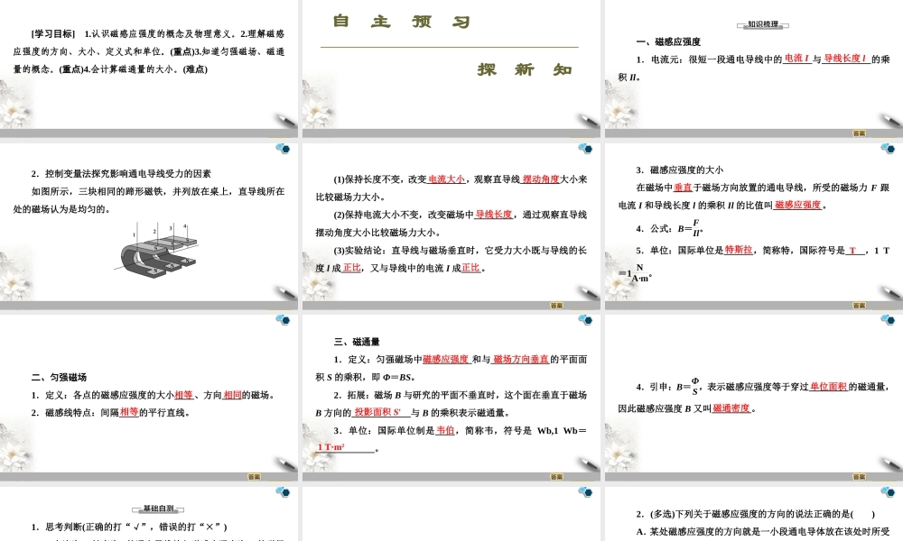 19-20 第13章 2.磁感应强度　磁通量.ppt