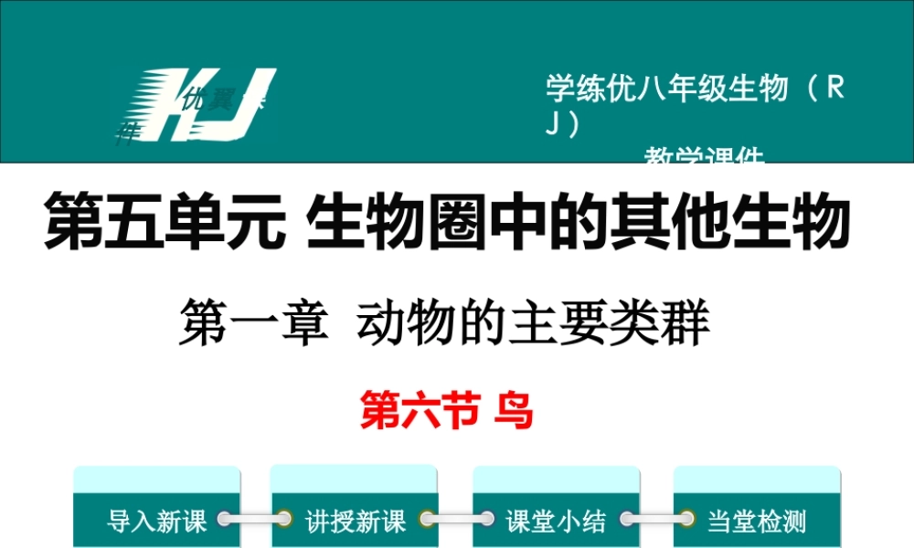 6.第六节鸟【备份】.ppt