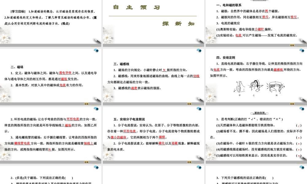 19-20 第13章 1.磁场　磁感线.ppt