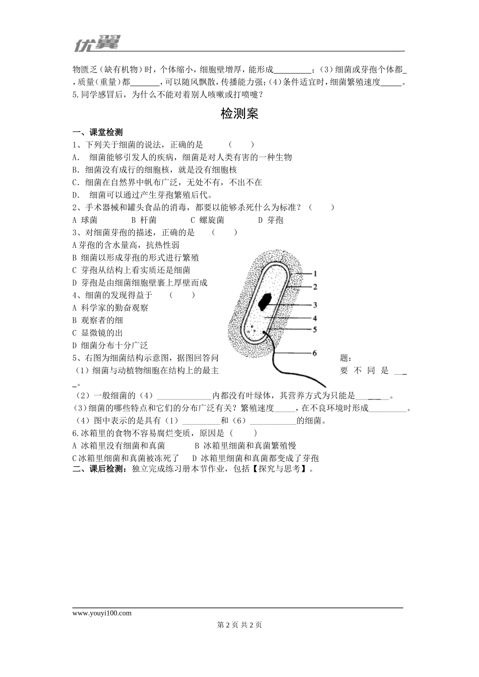 2.第二节细菌(1).doc_第2页