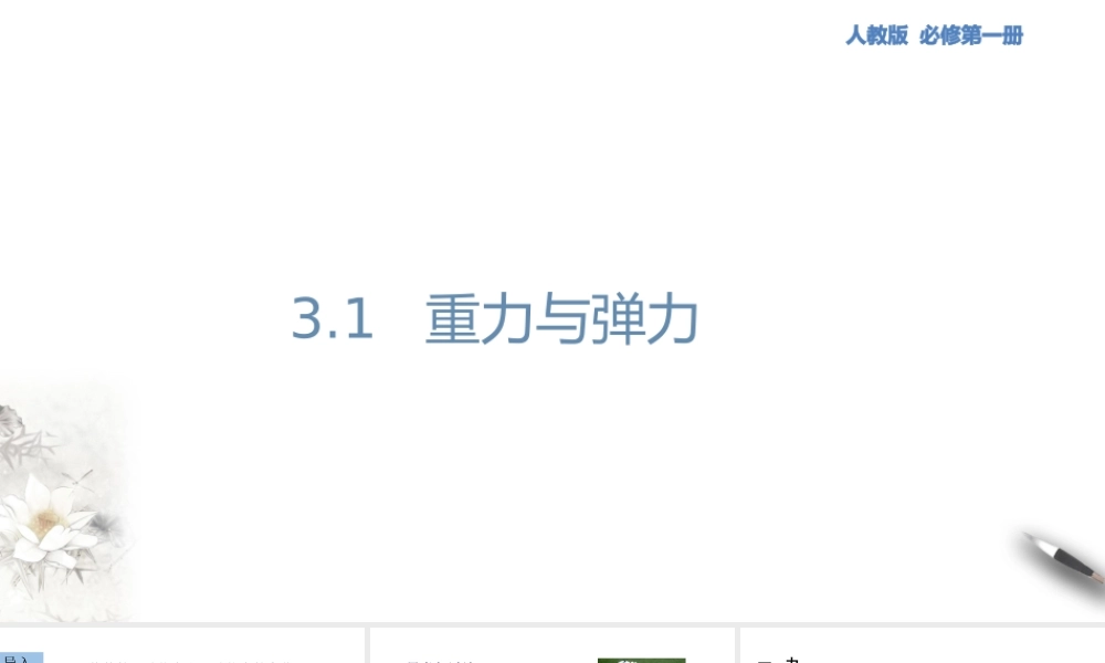 3.1 重力与弹力课件（1）.pptx