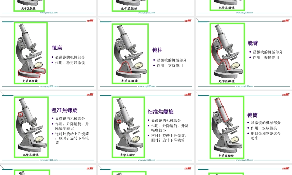 1.第一节练习使用显微镜.ppt