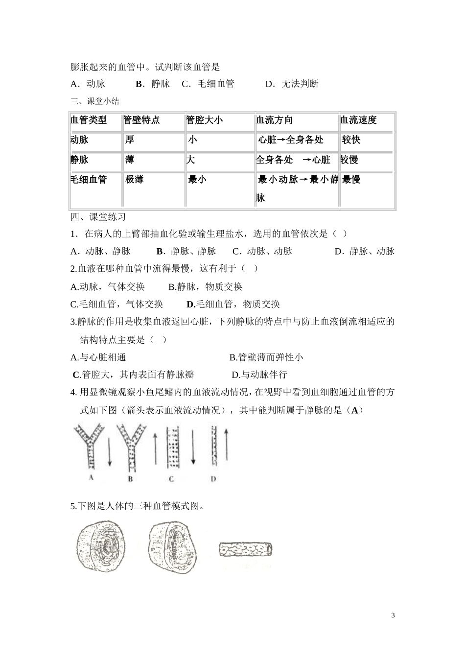 2.第二节血流的管道——血管.doc_第3页