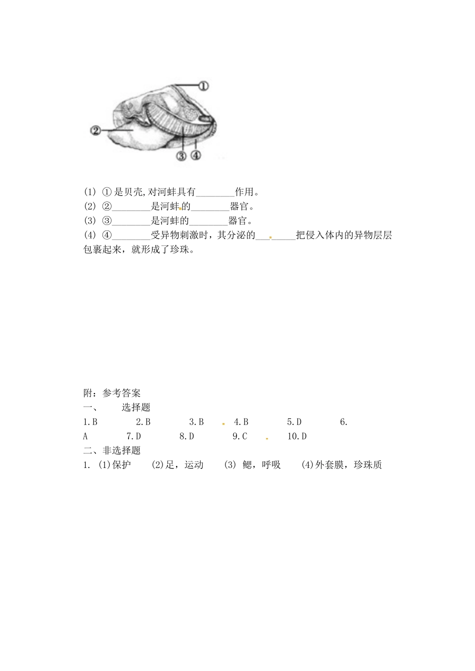 5.1.3软体动物和节肢动物软体动物 .doc_第2页