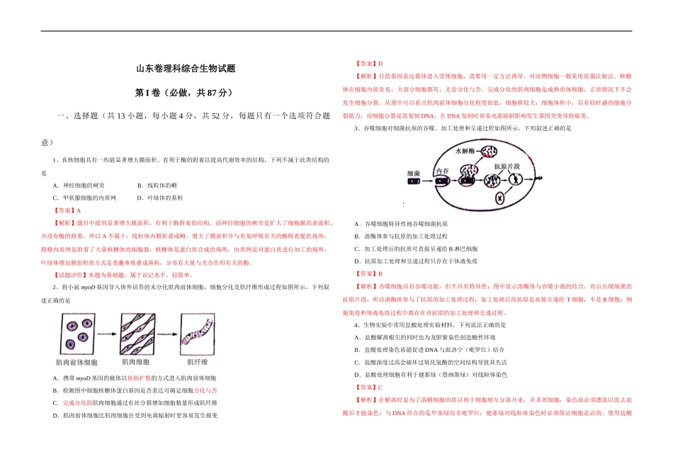 2013年高考真题 生物(山东卷)（含解析版）.docx_第1页