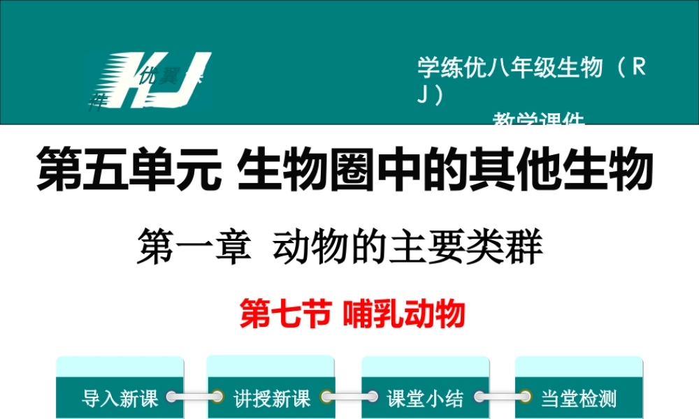 7.第七节哺乳动物【备份】.ppt