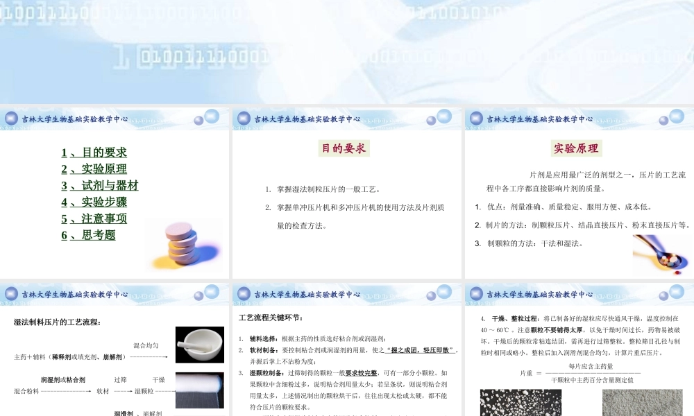 2014片剂的制备和检测.ppt