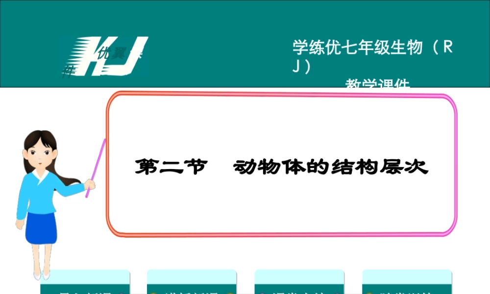 2.第二节动物体的结构层次.ppt