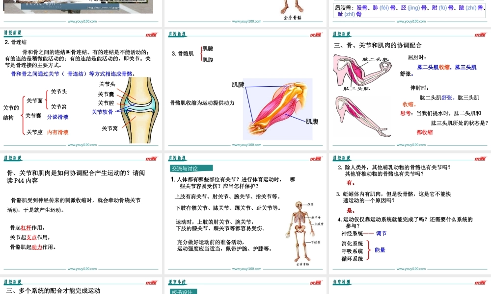 1.第一节动物的运动【备份2】.ppt