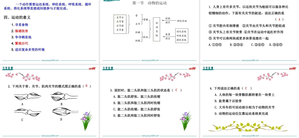 1.第一节动物的运动【备份2】.ppt