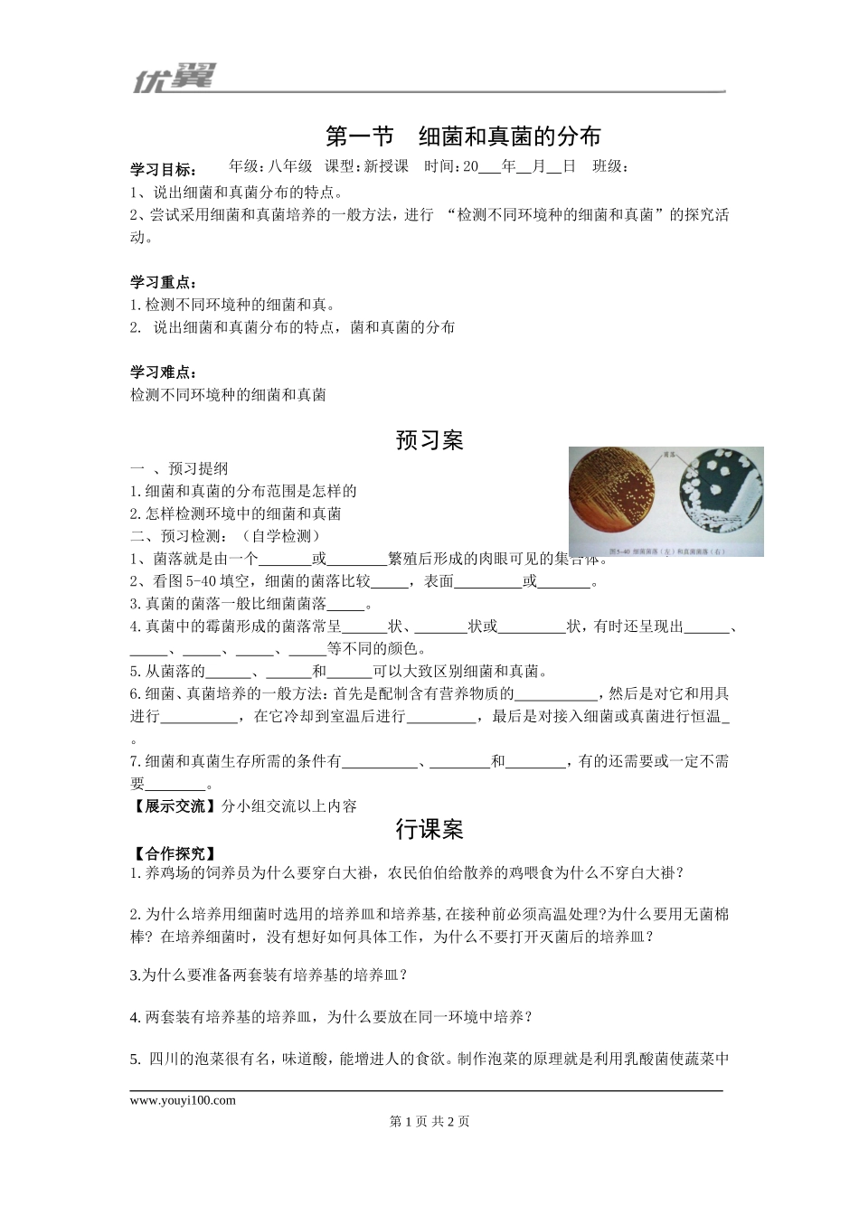 1.第一节细菌和真菌的分布.doc_第1页