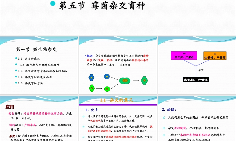 5 微生物杂交育种.ppt