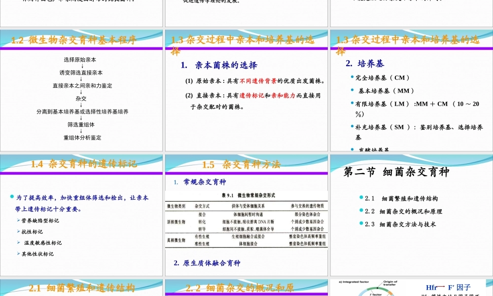 5 微生物杂交育种.ppt