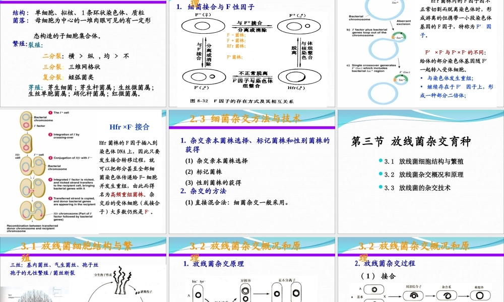 5 微生物杂交育种.ppt
