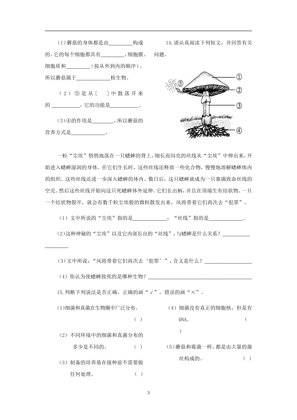 5.4.1 细菌和真菌的分布2.doc_第3页