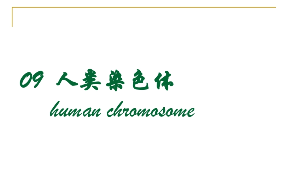 09人类染色体(1).ppt