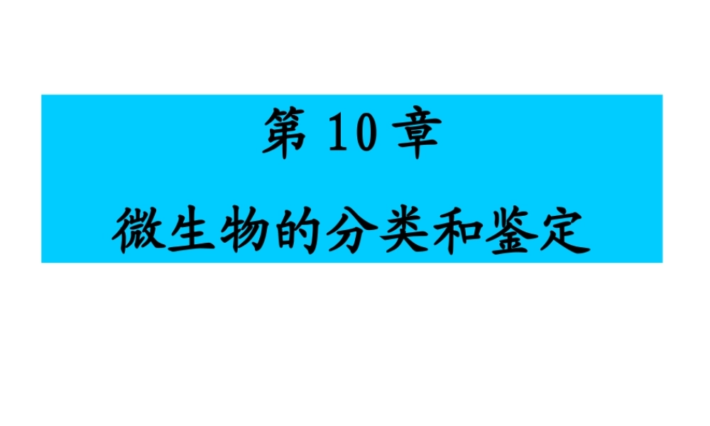 10微生物的分类鉴定.ppt