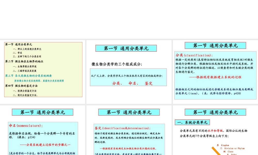 10微生物的分类鉴定.ppt