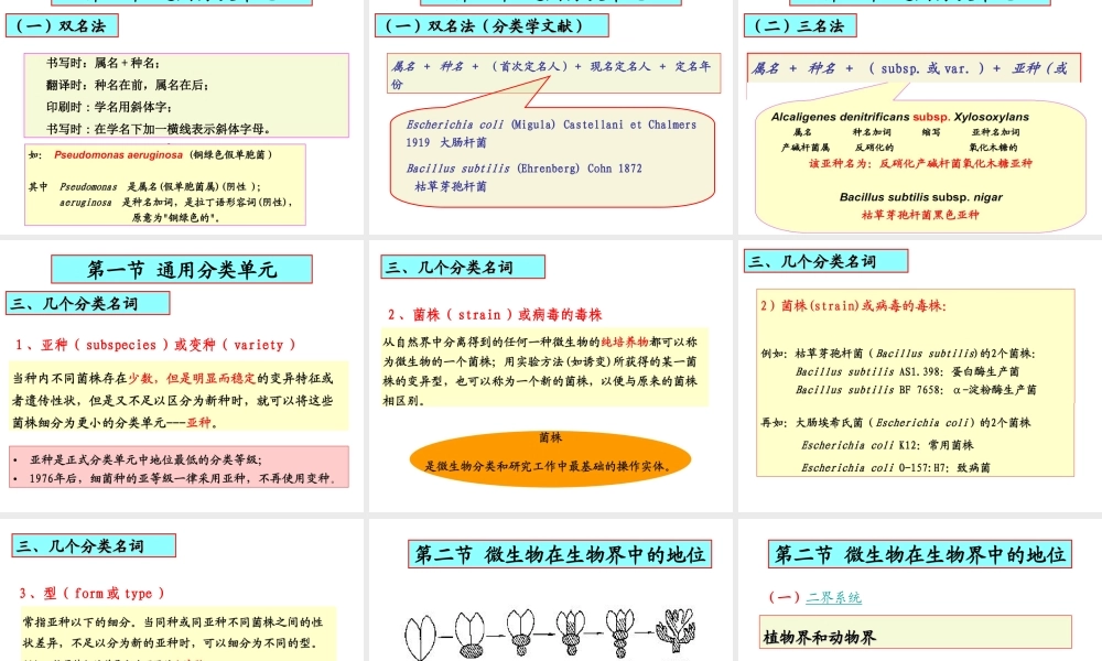 10微生物的分类鉴定.ppt