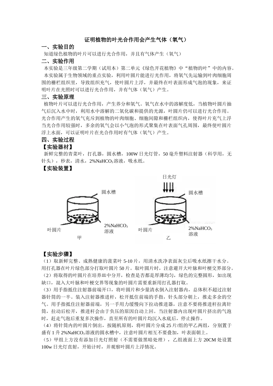 613-2证明植物的光合作用会产生气体（氧气）(3).docx_第1页
