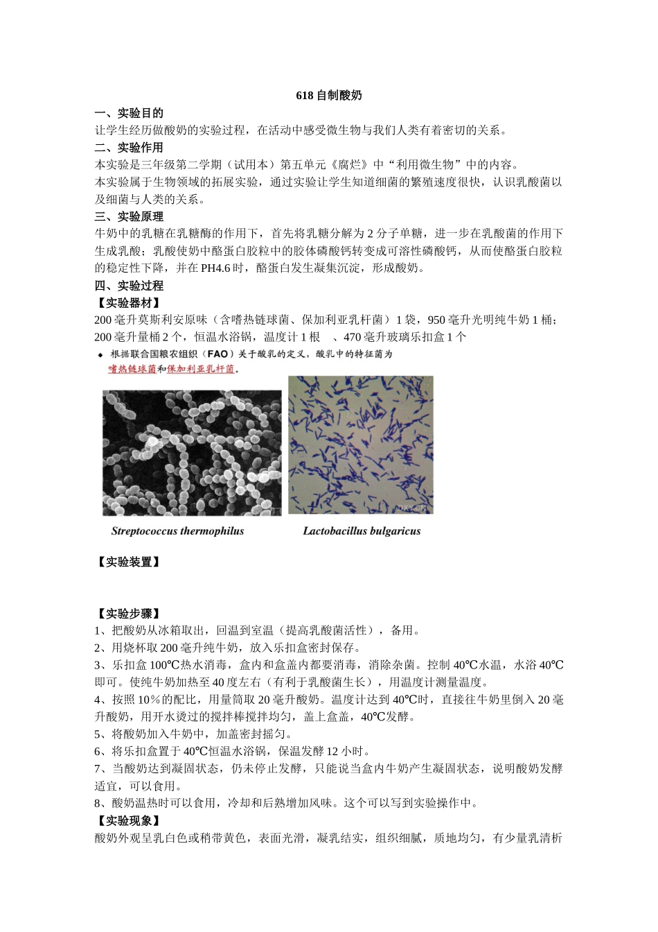 618自制酸奶.docx_第1页
