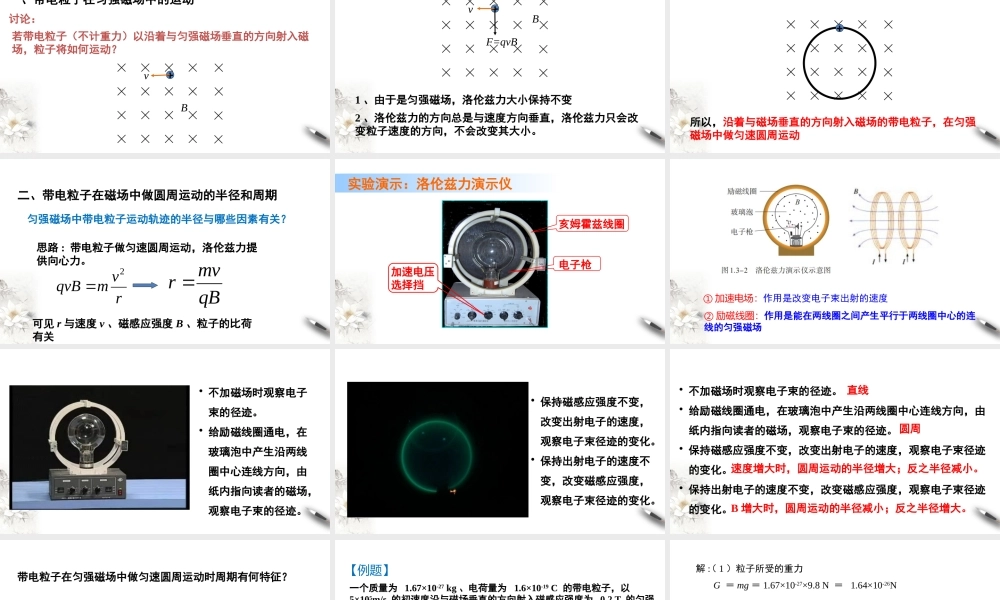 1.3 带电粒子在匀强磁场中的运动.pptx