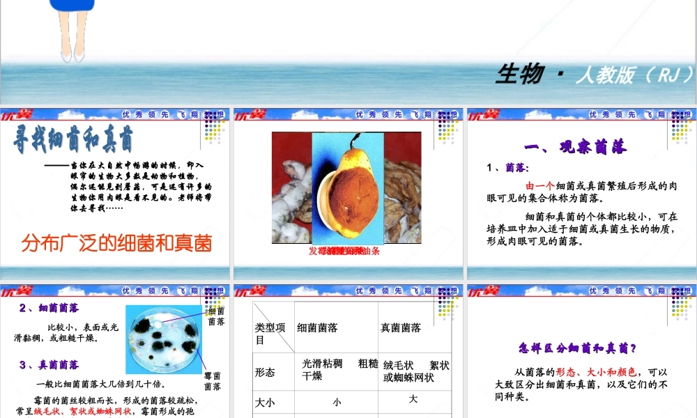 1.第一节细菌和真菌的分布.ppt