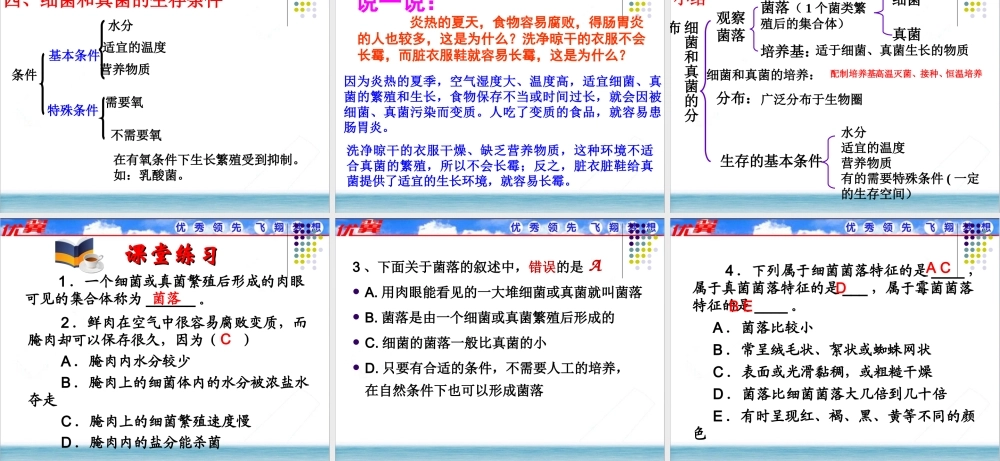 1.第一节细菌和真菌的分布.ppt