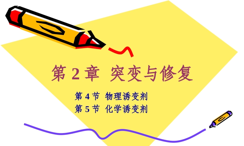 2 突变与修复（第4节至第5节）.ppt