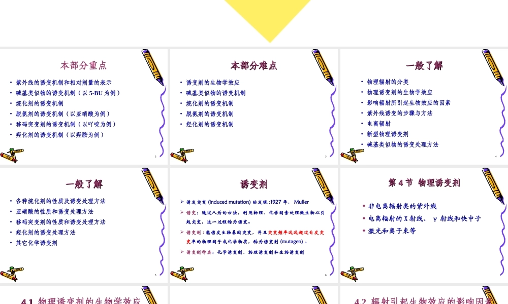 2 突变与修复（第4节至第5节）.ppt