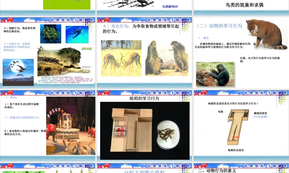 2.第二节先天性行为和学习行为.ppt