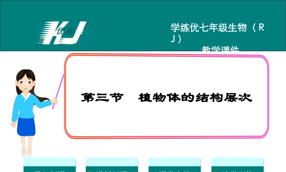 3.第三节植物体的结构层次.ppt
