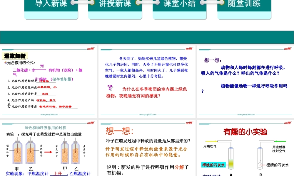 2.第二节绿色植物的呼吸作用.ppt