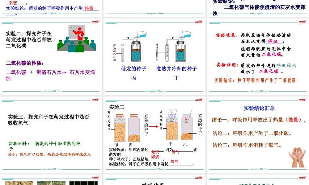 2.第二节绿色植物的呼吸作用.ppt