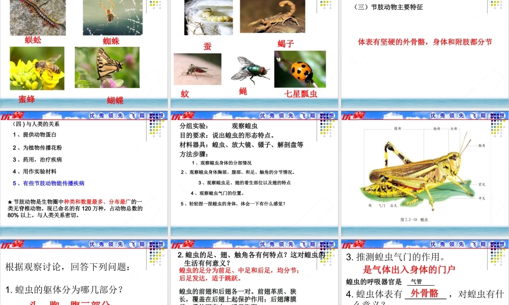 3.第三节软体动物和节肢动物.ppt