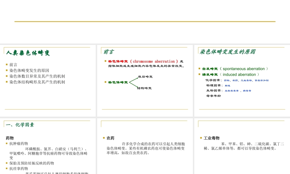 10人类染色体畸变(1).ppt
