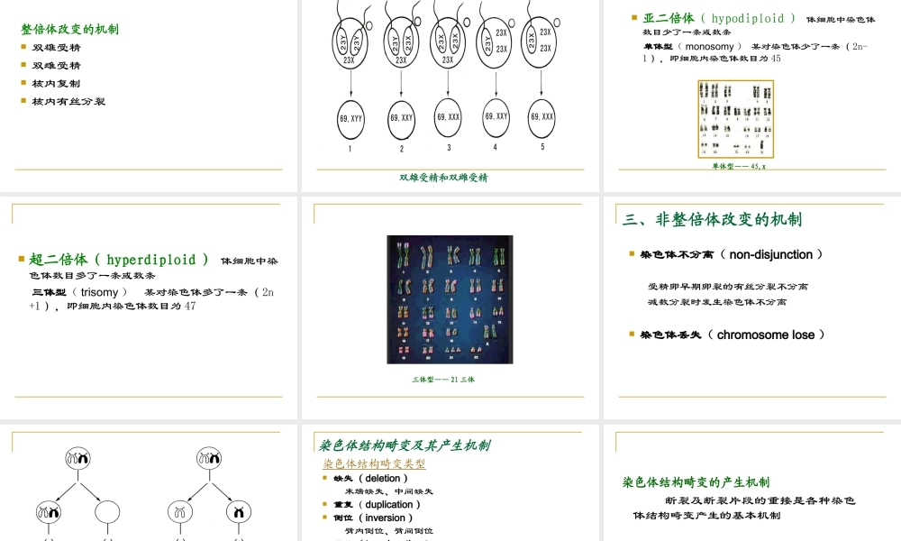 10人类染色体畸变(1).ppt