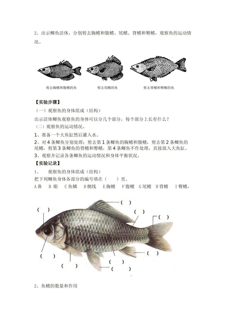 505观察鱼的身体和运动.docx_第2页