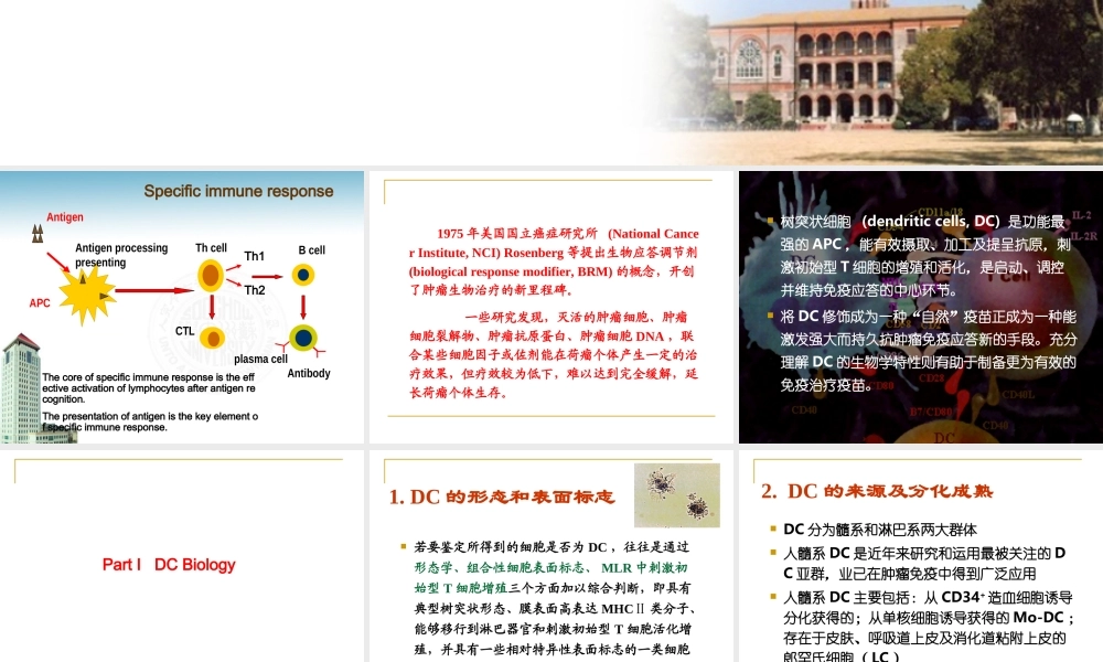 2007－DC肿瘤治疗(1).ppt
