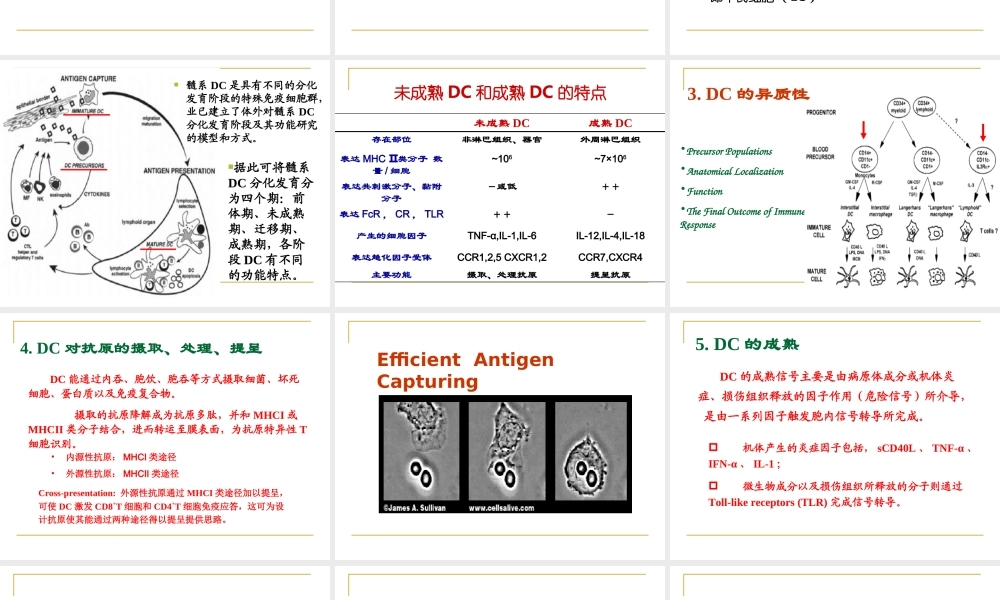 2007－DC肿瘤治疗(1).ppt