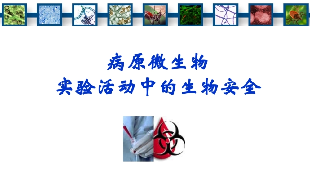 999实验室生物安全培训-温州2013524(1).ppt