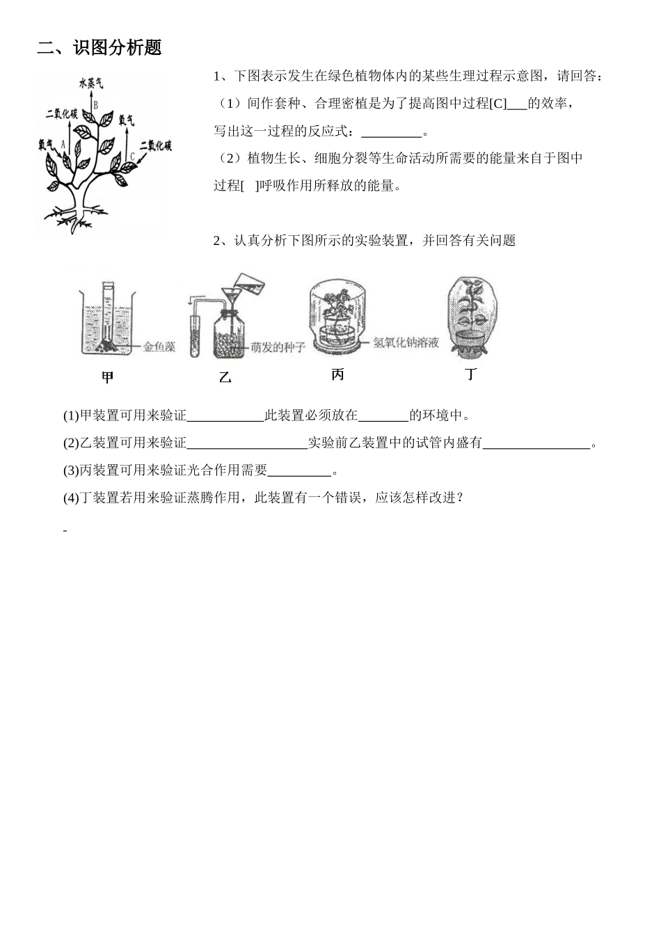 《绿色植物的呼吸作用》习题4 无答案.doc_第3页
