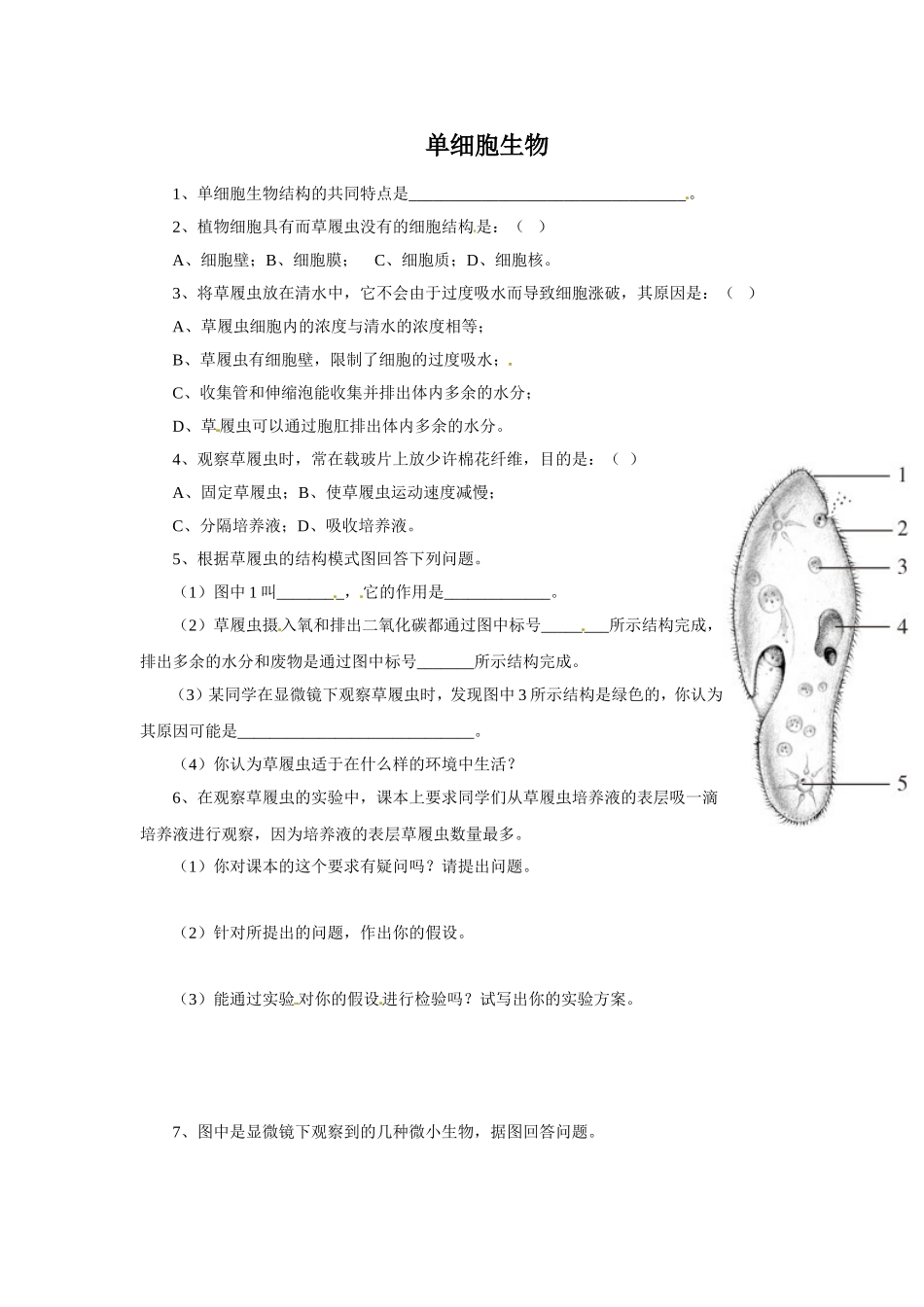 《单细胞生物》习题3 含答案.doc_第1页