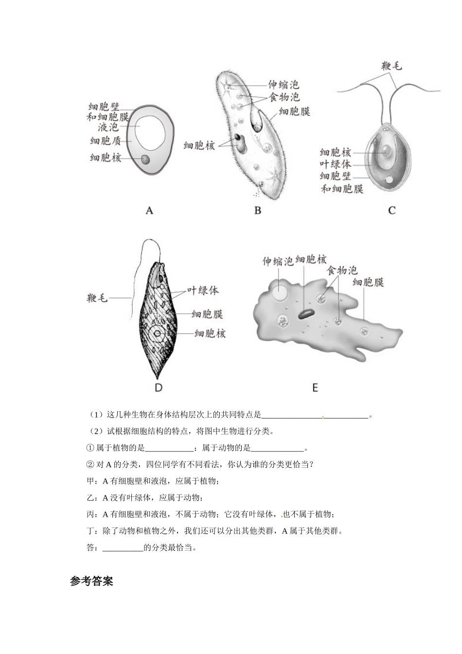 《单细胞生物》习题3 含答案.doc_第2页