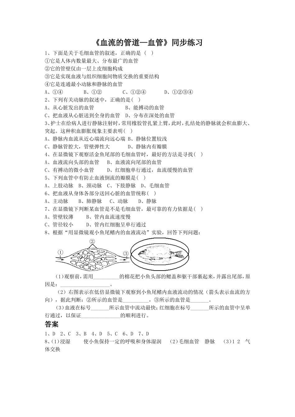 《血流的管道——血管》2.doc_第1页