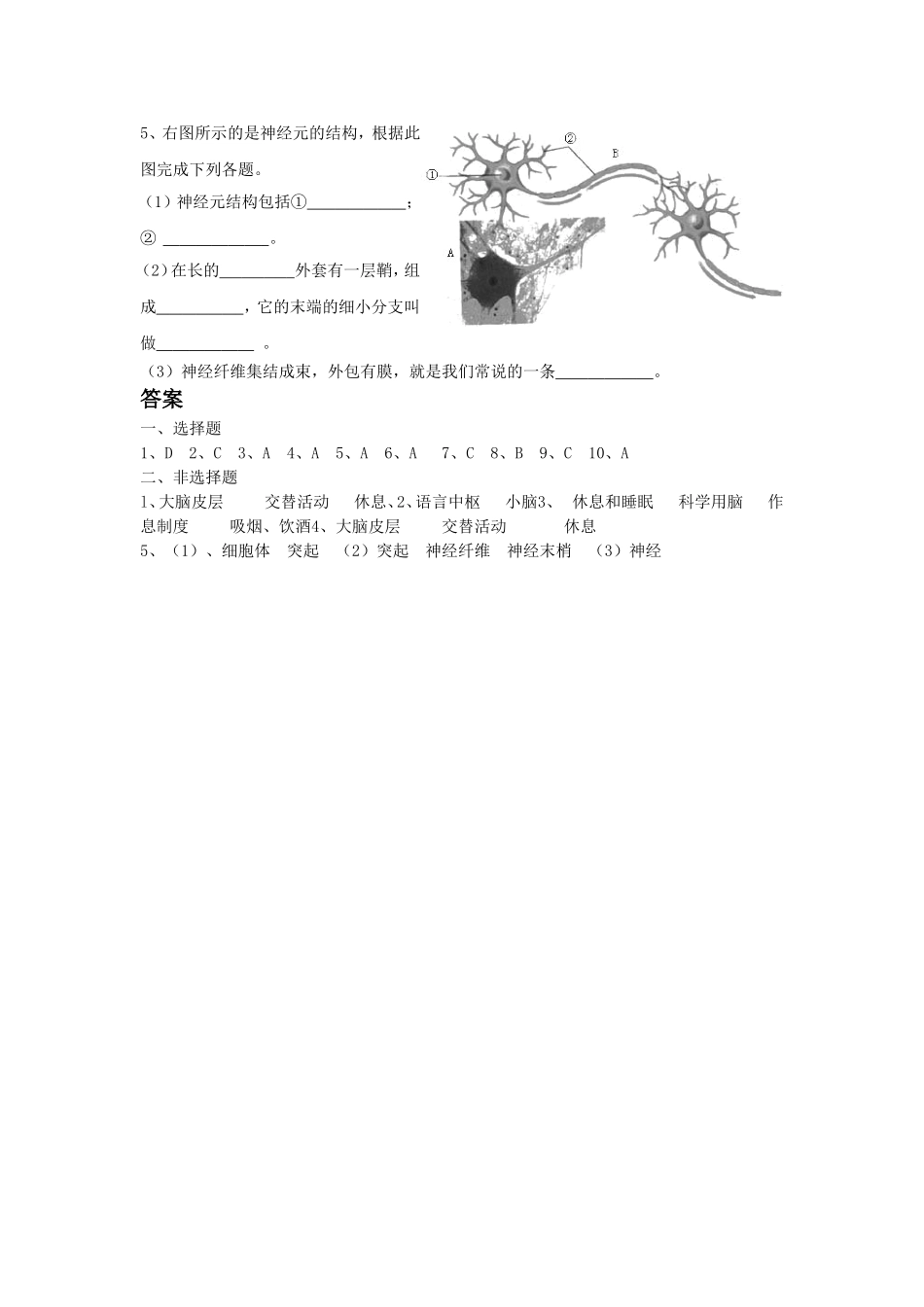 《神经系统的组成》2.doc_第2页