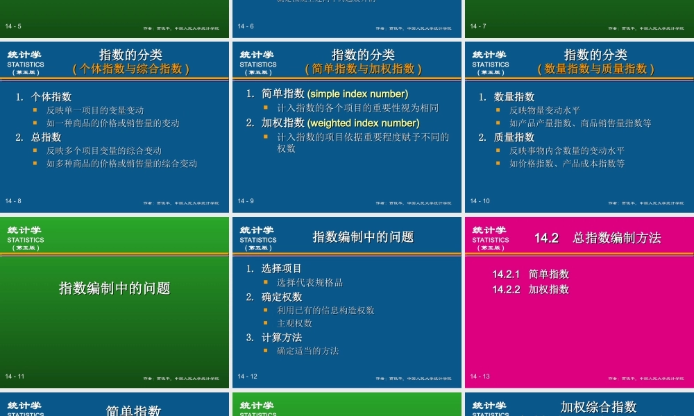 (14)第14章 指数.ppt